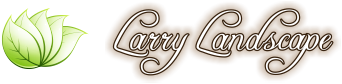 Larry Landscape